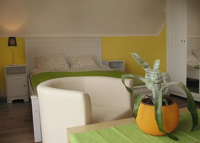 Pokoje Pod Gwiazdami * دارووفكو